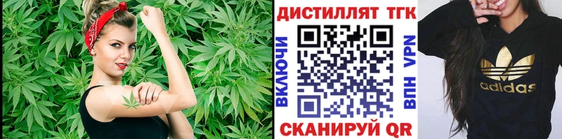 Дистиллят ТГК Wax Волхов