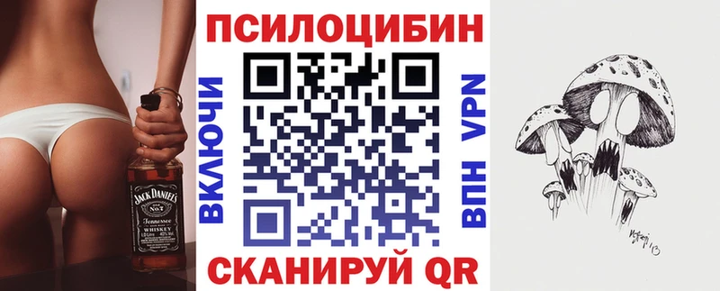 blacksprut ССЫЛКА  Волхов  Галлюциногенные грибы Psilocybine cubensis  где купить наркоту 
